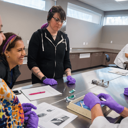 Anatomy, Cadaver Lab, Classroom, Dissection, Lab, Nevada State College, Ocan's Class, Students