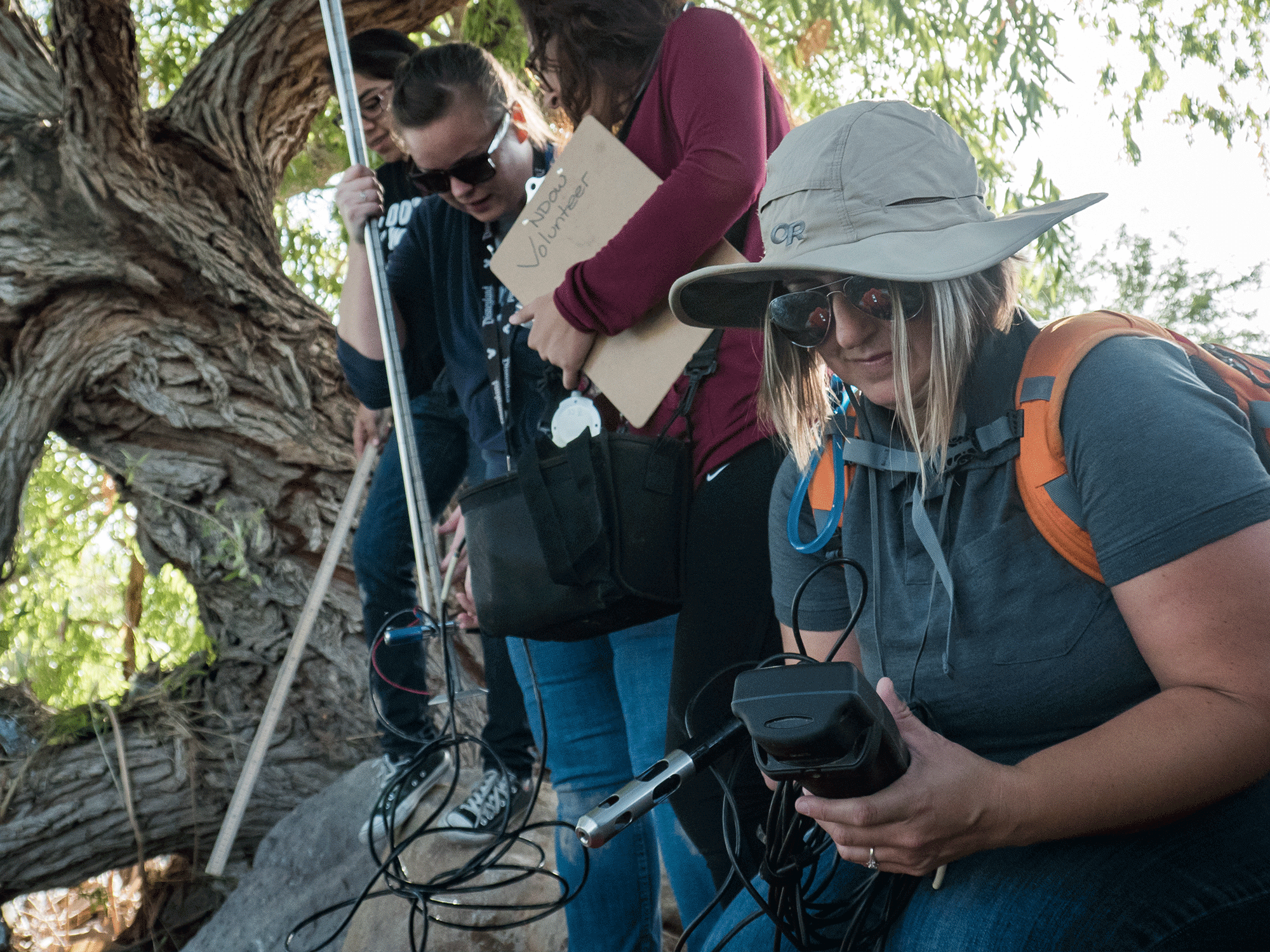 Clark County Wetlands, Class, Environmental Sciences 101, Field, Group, Jennifer Edmonds, Nevada State College, Outdoors, Sample Tray, Smile, Students, Talking, Water Bug