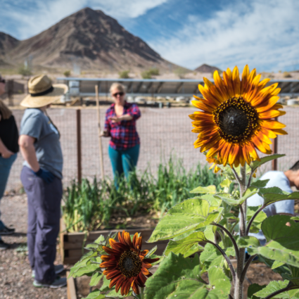 Students learning about the NSC garden