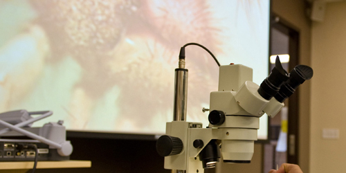 Picture of a microscope in a science classroom.