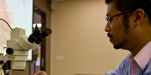 Male student working with microscope