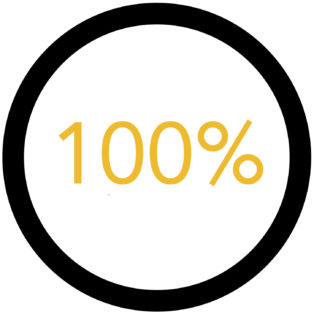 Infographic with 100% in middle of circle