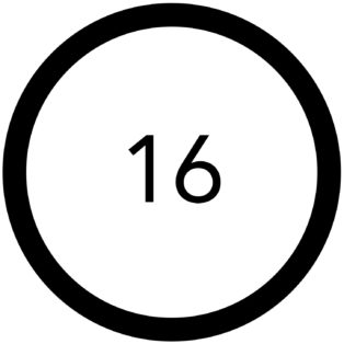 Infographic of black circle with number 16 in the middle