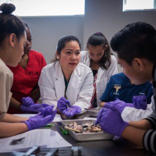 Picture of pre-nursing students leaning in talking to nursing professor in cadaver lab