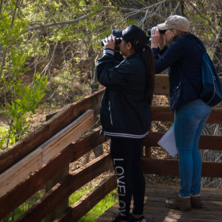 Two people looking through binoculars out in nature